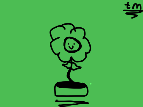 Sunflower Growth Project (SGP)