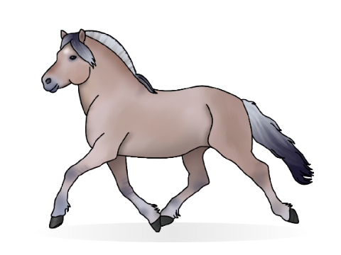 AT with @_-Horse-Girl-_ <3