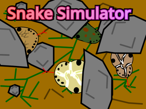 | Snake Simulator |