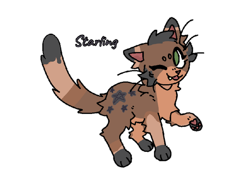 Starling!(for CoGRP temp bio)