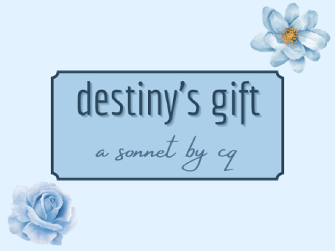 Destiny's Gift