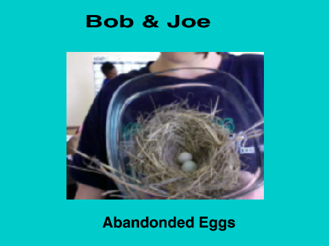 Bob & Joe, Abandonded Eggs