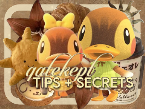 ᯓ★ act 3 :: gatekept secrets + tips
