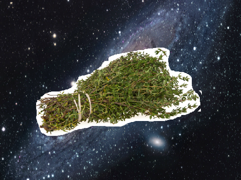 Thyme and Space... Get it?