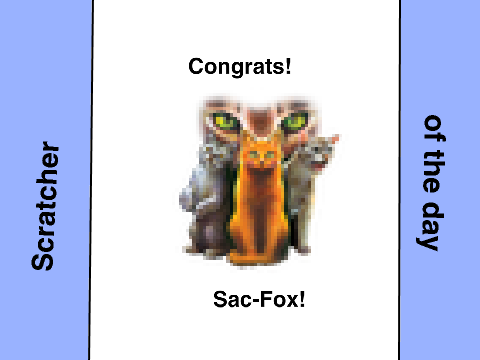 Scratcher Of The Day