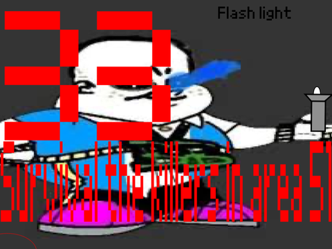 Flashlight Testing I AM STEVE!