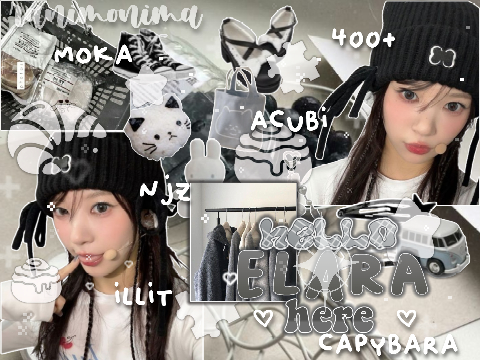 ☆૮꒰•༝ •.꒱ა　entry 4     ୨୧   elara