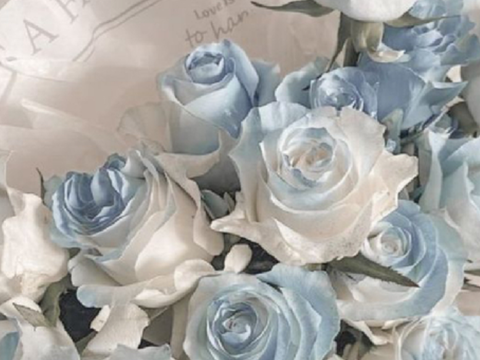 4-blue jennie