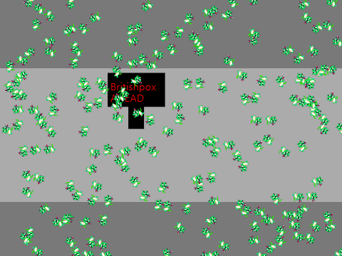 britishpox sim