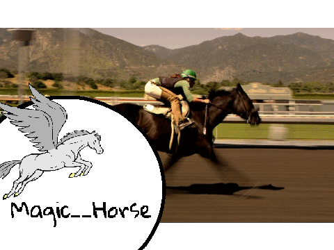 Race horse