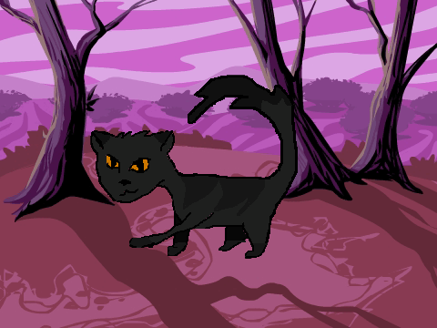 Kitten maker V1.0