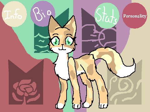 _Warriors of the Stars RPG- Bio Template_ remix