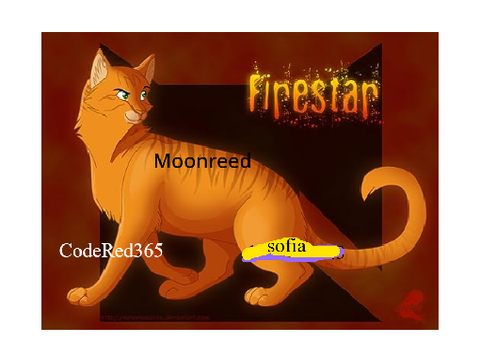 Sign if you love warrior cats!