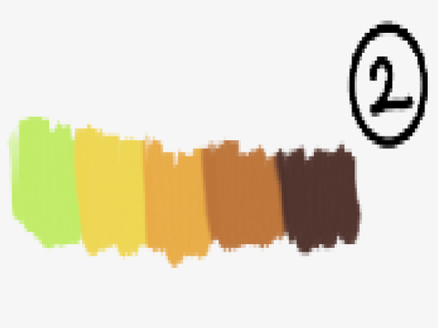 Birthday/70+ Colour Challenge DMACE