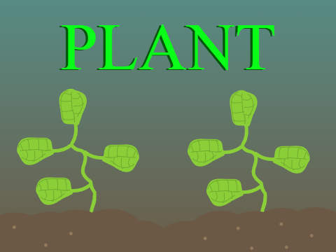 plant