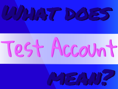 What Does Test Account Mean?