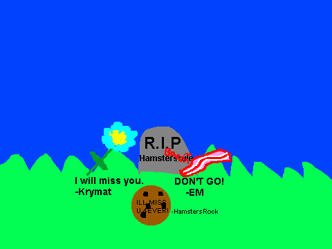 Add_something_nice_to_hamstersrules_grave[1][1]