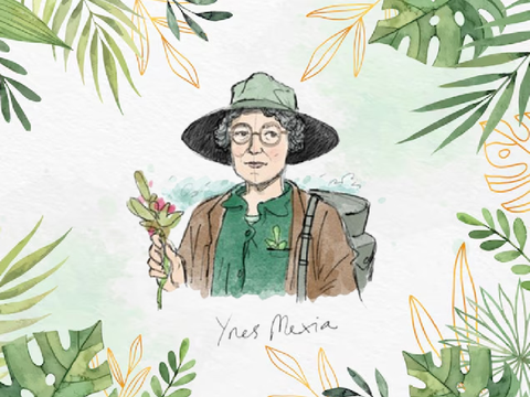 ❁ Ynés Mexía: A Journey into Botany! ❁