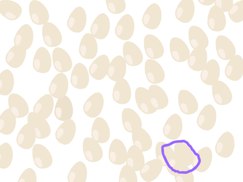 find the odd one out and get 3 free followers! remix