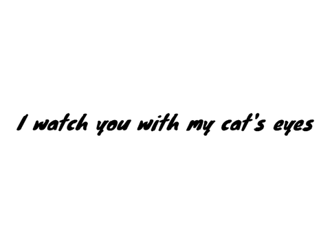 Cat's eye - Demo