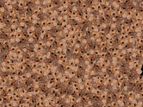 glungus