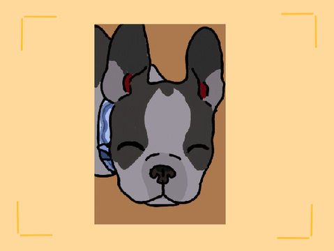 B-day Gift for Bluey!