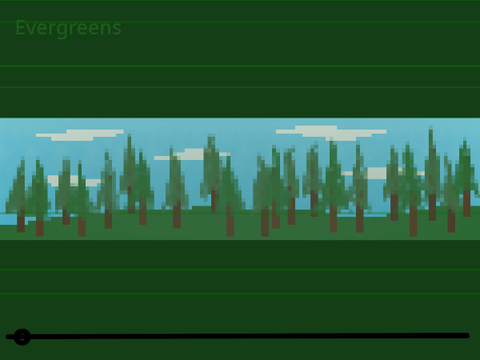 Evergreens
