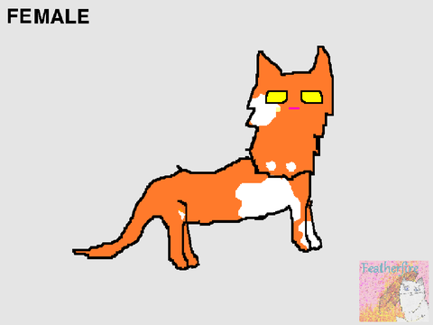 Cat Appearance/Gender Generator v13