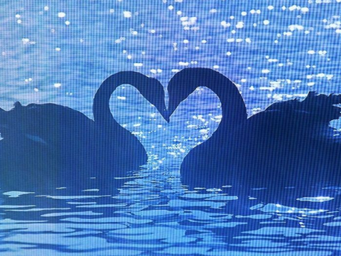 ✉️ NEW OC + OC TUT  ʚ☁︎ɞ  idk ⛸️