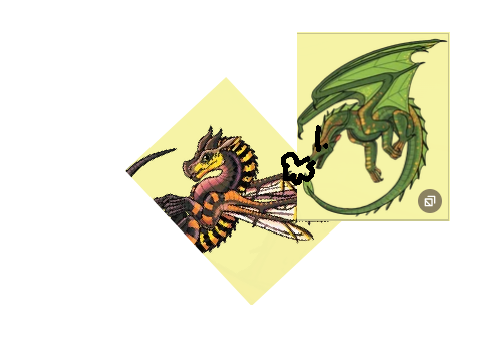 Bumblebee and Sundew