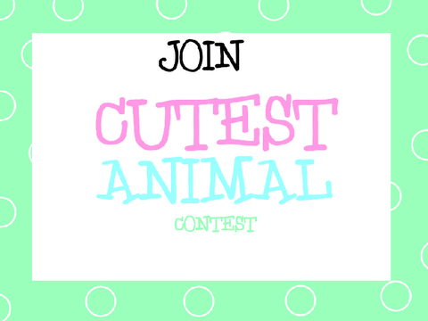 Cutest Animal Contest *CLOSED*