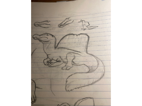 Another Spino sketch