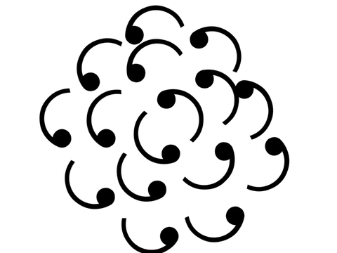 Spin