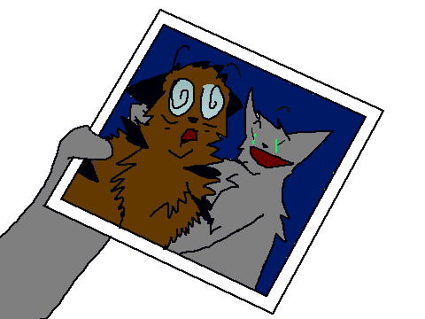 Take a Selfie with Tigerclaw remix