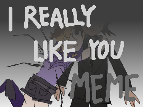 I really like you meme ｡･:*˚:✧｡