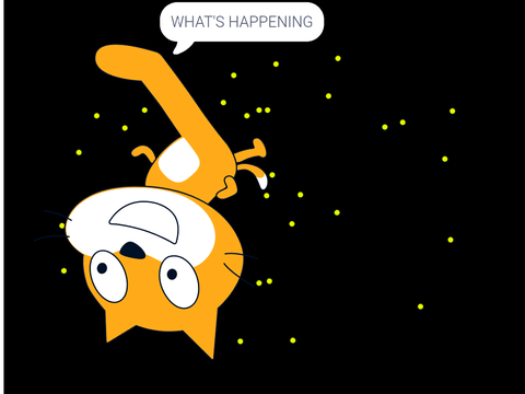 when scratch cat is in space