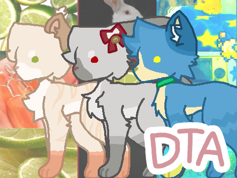 (TW)☆ ~350+ DTAE~ 