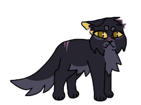 Cedar's Warrior Cats Designs !!