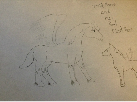 Wild heart and her foal Cloud Heart