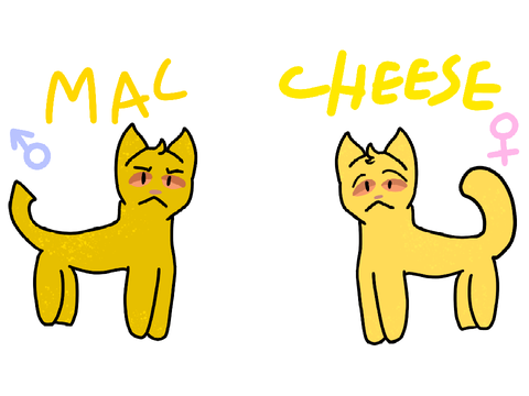 Macaroni (aka Mac) and Cheese cameo :3