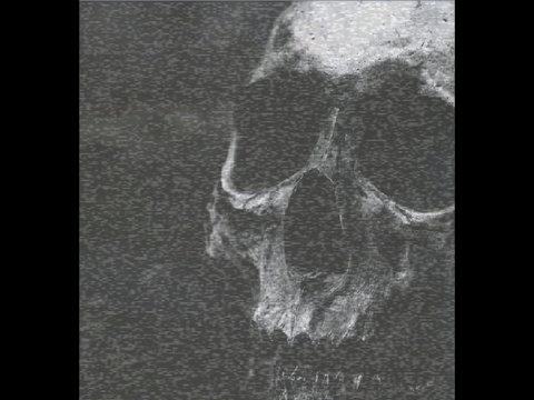 PK! - SKULLTHRASHER (Audio)