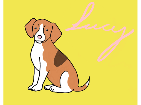 New OC - Lucy the Beagle!