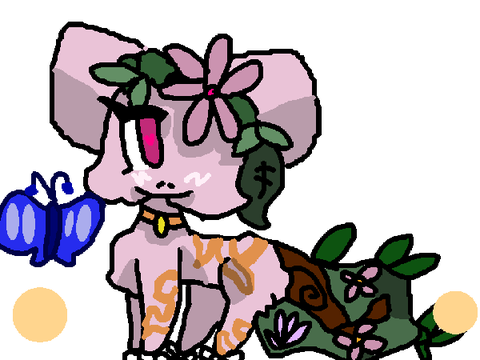 exotic bloom DTAE