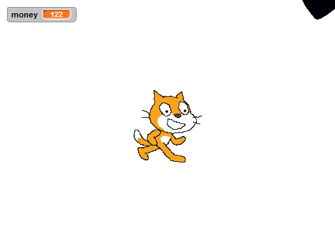 hit the cat