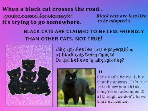 #BlackCats: They Aren't Unlucky remix