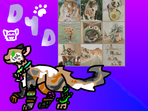 ✩ D4D! ✩