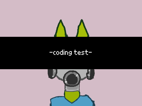 code test