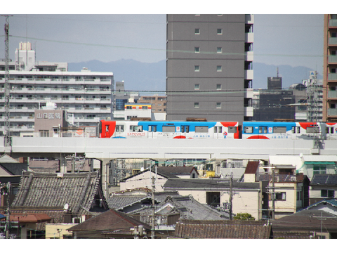 DDtarou様のフォトコン用の写真
