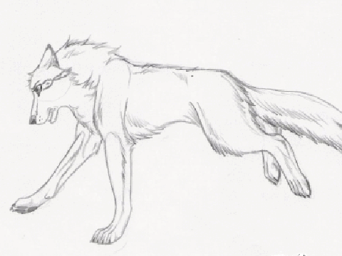 Wolf Run Cycle remix