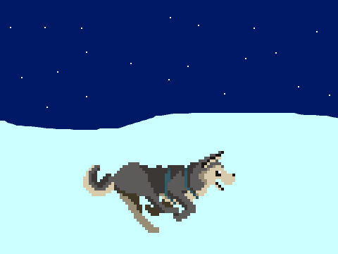 Cute running Huskey.